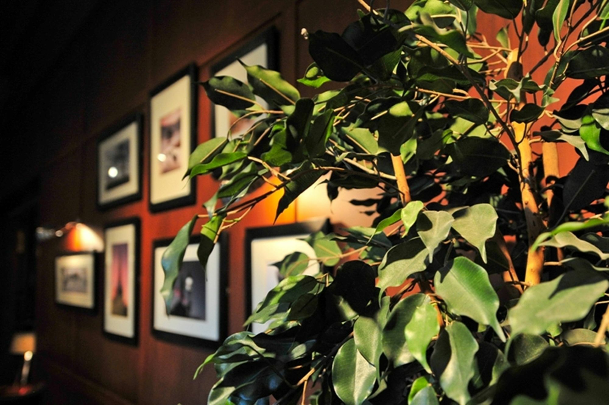 Savoy Park Hotel Ayr Ngoại thất bức ảnh